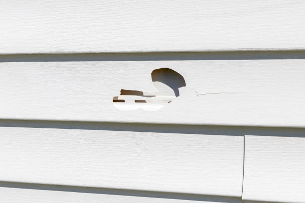 Shed Removal in Palmetto, GA